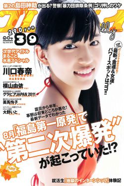 29集电视剧半路夫妻免费观看